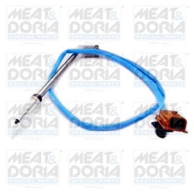 Sensor, exhaust gas temperature